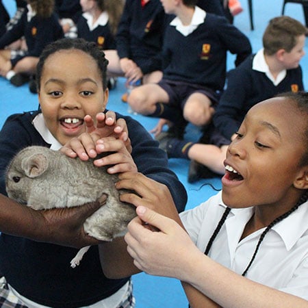 Dainfern-Student-Wellness_SP-Well-being Student wellbeing in the Senior Preparatory 1